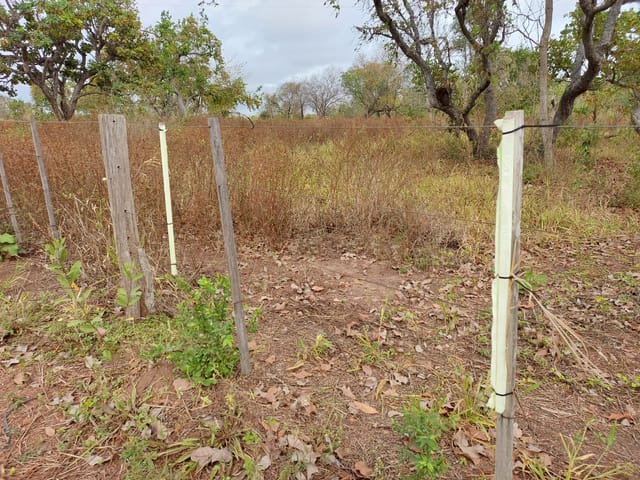 Foto do Terreno - Terreno à venda 10000M², Distrito Industrial, Cuiabá - MT | Josélia Cáceres Martins