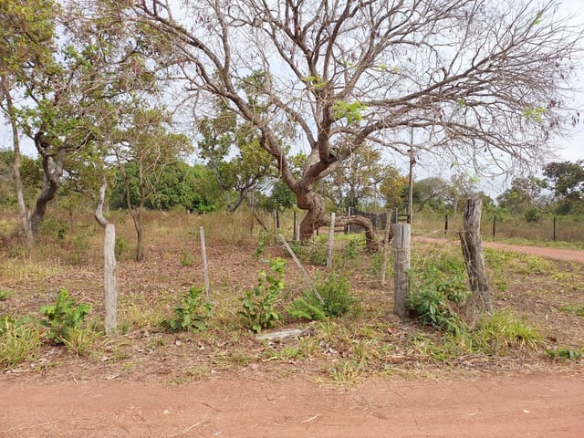 Foto do Terreno - Terreno à venda 10000M², Distrito Industrial, Cuiabá - MT | Josélia Cáceres Martins