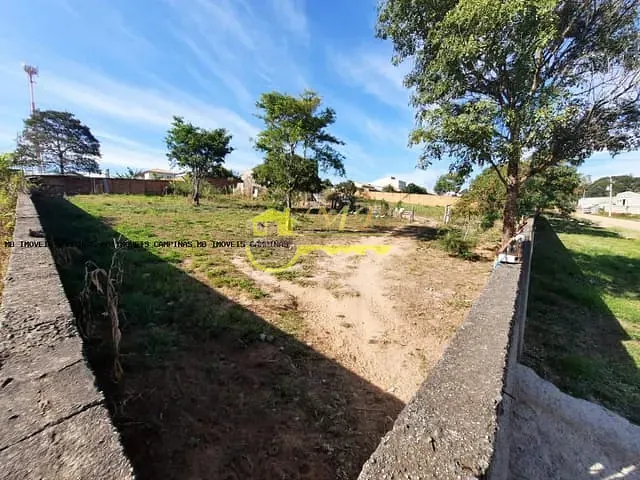Terreno com 2980m², à venda, no bairro Vila Aeroporto em Campinas