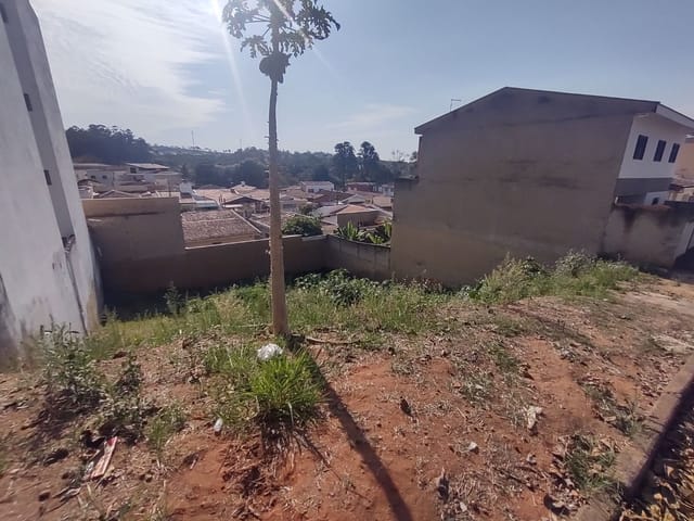 Terreno com 250m², à venda, no bairro Jardim Michelazzo em São João da Boa Vista
