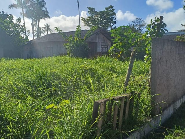Terreno com 560m², à venda, no bairro Murta em Itajaí