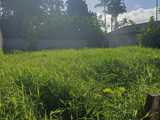 Terreno com 560m², à venda, no bairro Murta em Itajaí