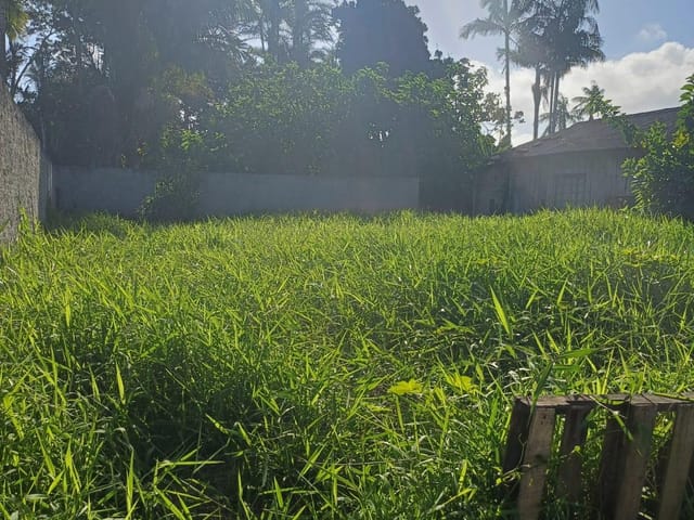 Terreno com 560m², à venda, no bairro Murta em Itajaí