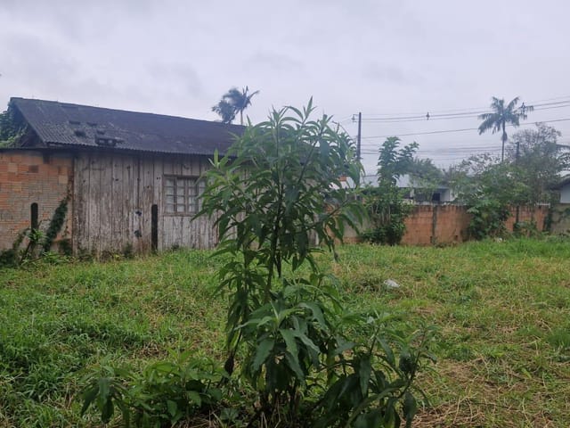 Terreno com 560m², à venda, no bairro Murta em Itajaí