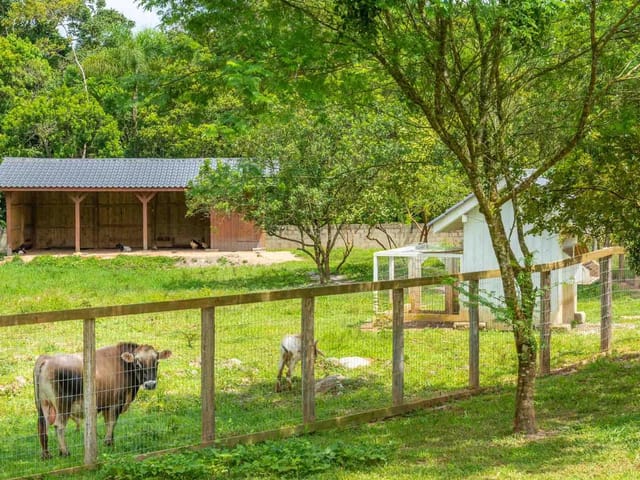 Terreno com 1046m², à venda, no bairro Área Rural de Camboriú em Camboriú