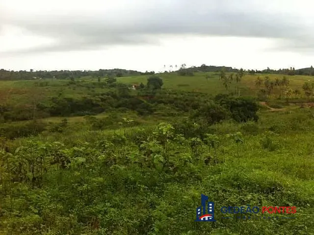 Terreno com 50000m², à venda, no bairro Zona Rural em Vitória de Santo Antão