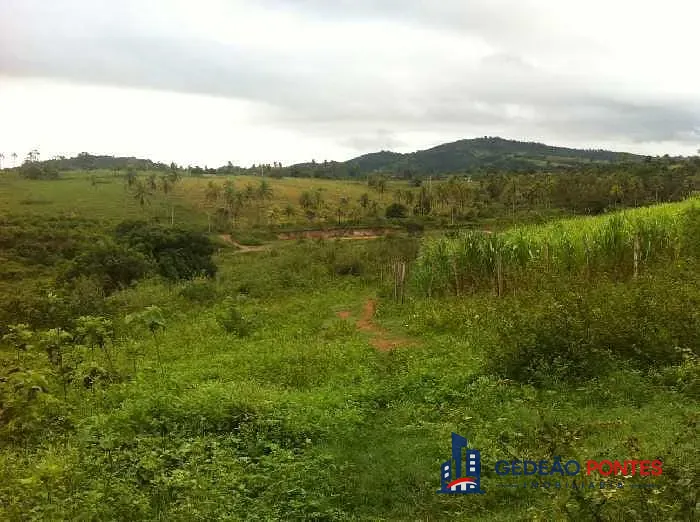 Terreno, 5 hectares - Foto 6