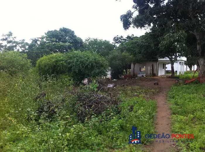 Terreno, 5 hectares - Foto 4