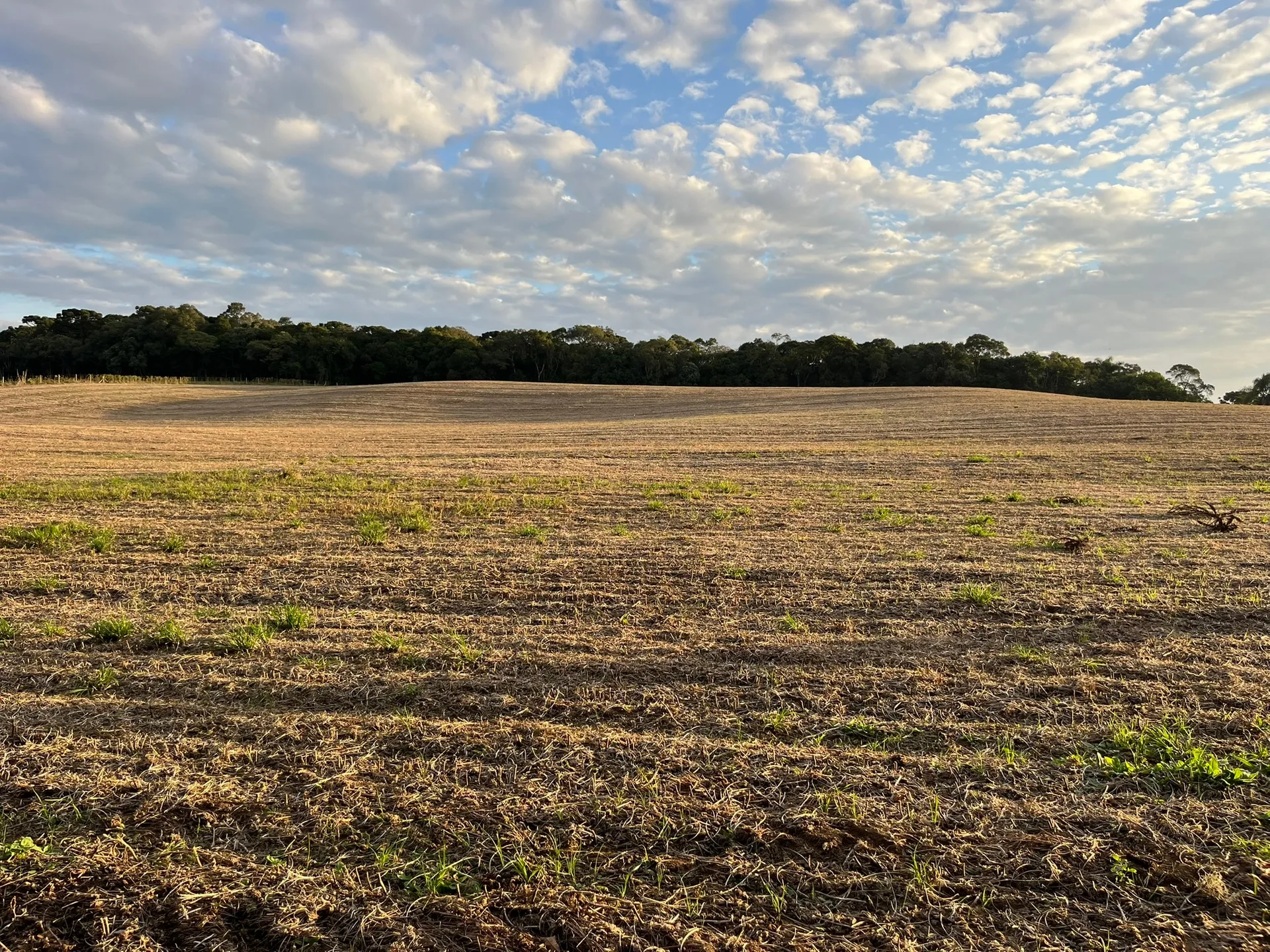 Terreno, 2 hectares - Foto 1