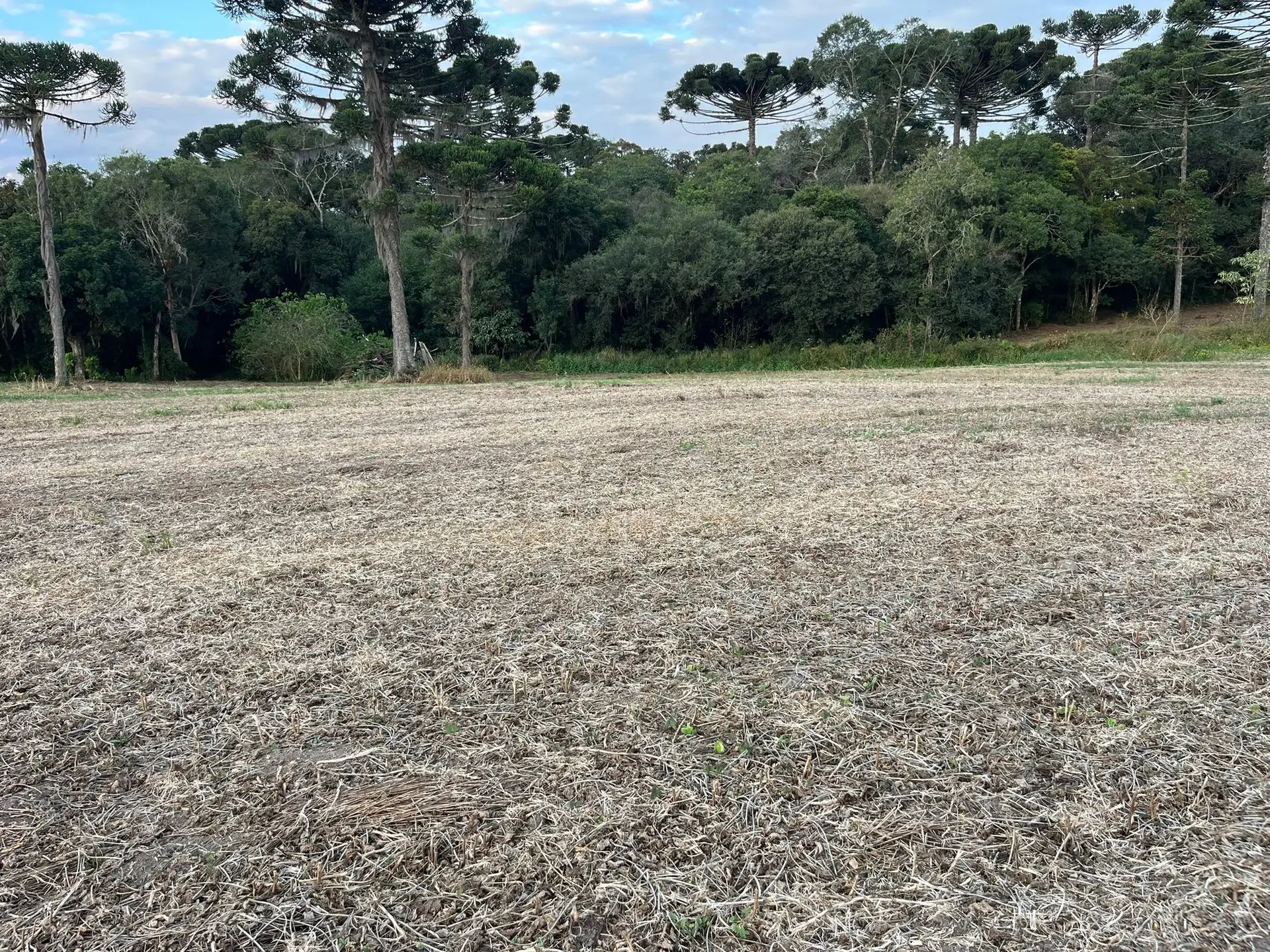Terreno, 2 hectares - Foto 12