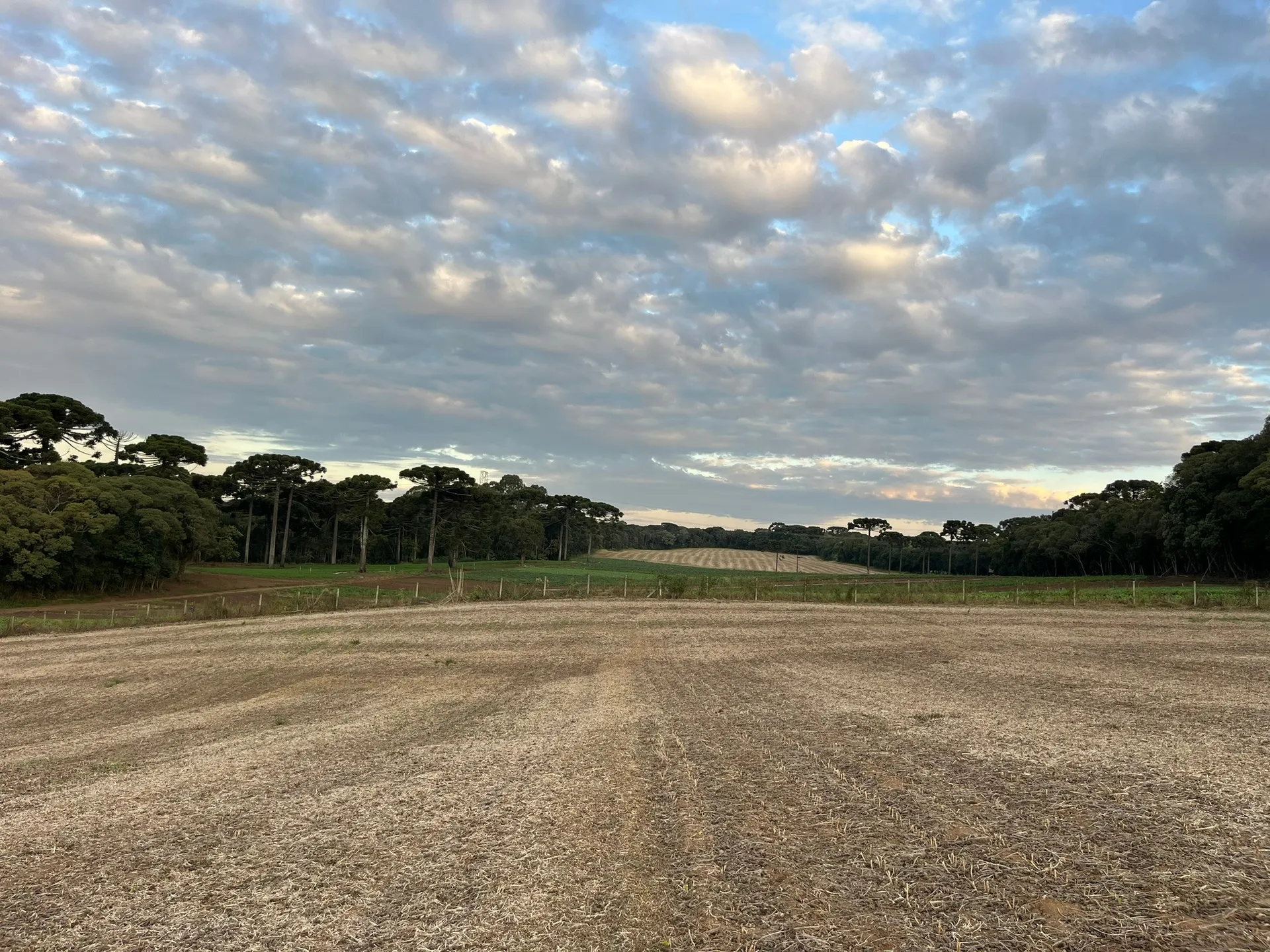 Terreno, 2 hectares - Foto 13