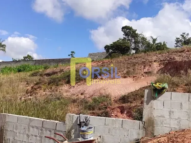 Terreno com 5000m², à venda ou para alugar, no bairro Vila Lavínia em Mogi das Cruzes