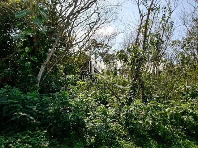 Terreno com 402m², à venda, no bairro Boracéia em São Sebastião
