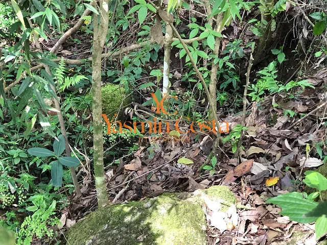 Terreno com 9000m², à venda, no bairro Cátigua em Córrego do Bom Jesus