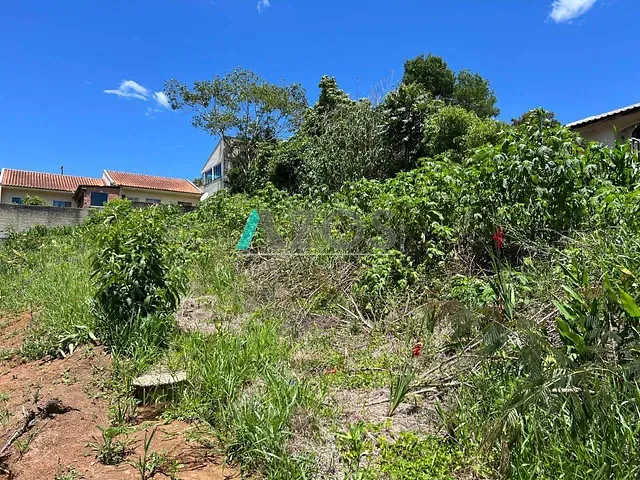 Terreno com 560m², à venda, no bairro Rincão em Colombo
