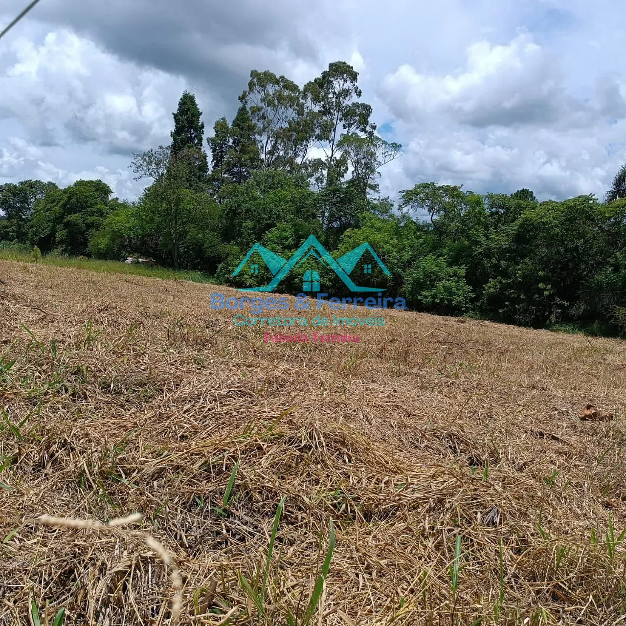 Terreno, 1500 m² - Foto 17
