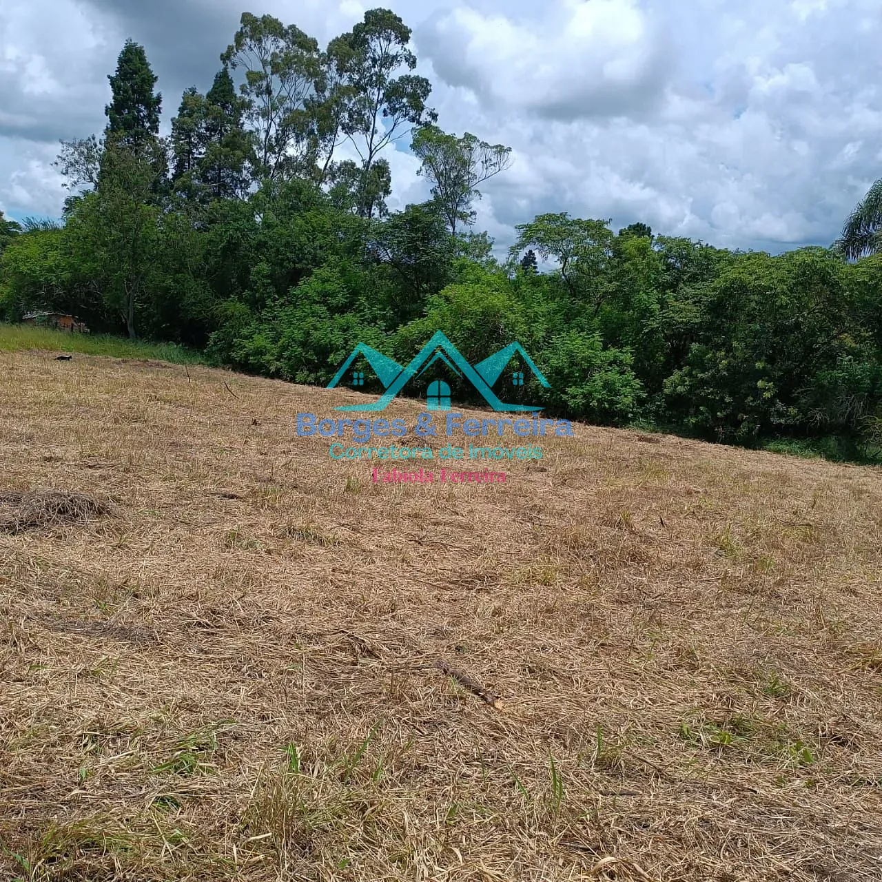 Terreno, 1500 m² - Foto 13