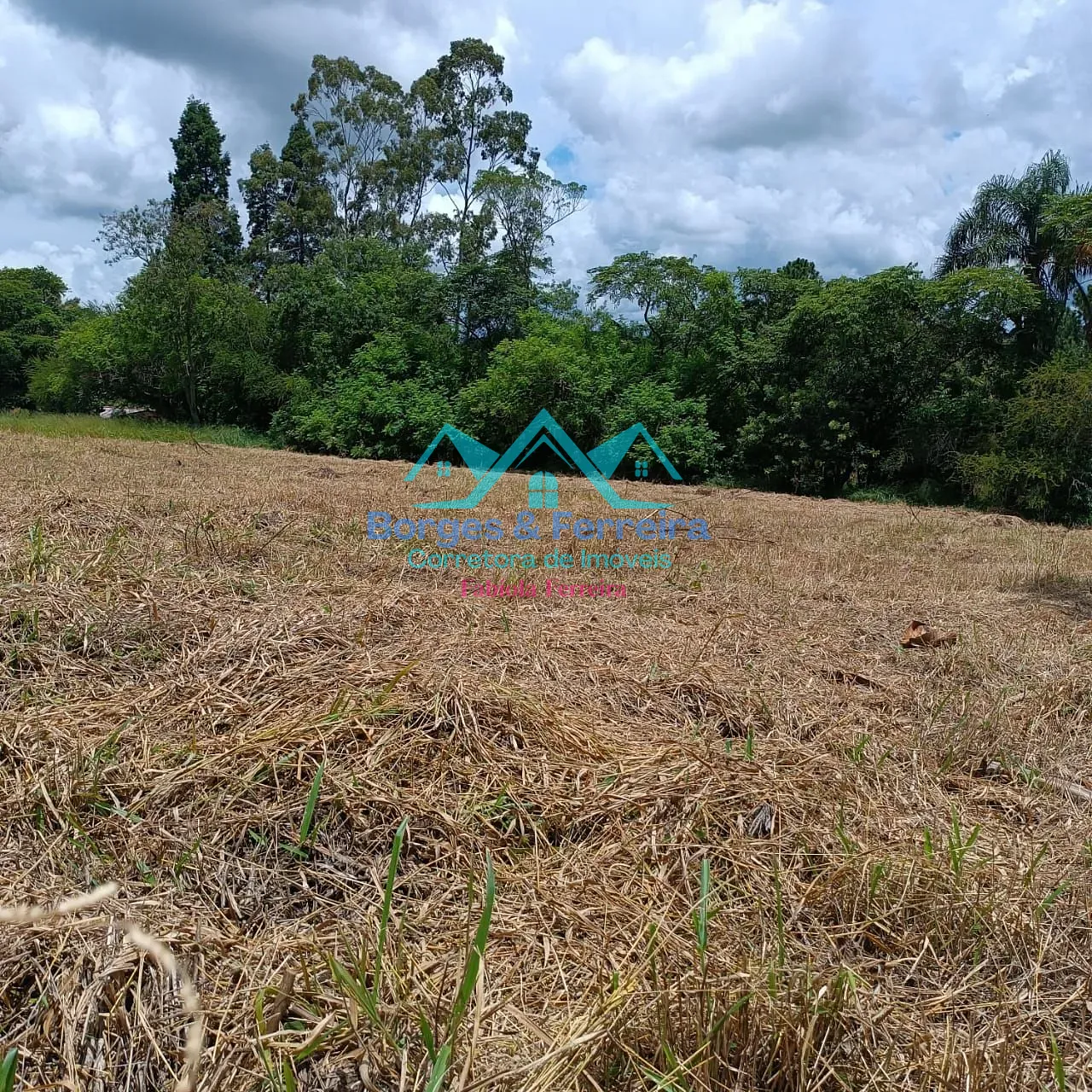 Terreno, 1500 m² - Foto 8