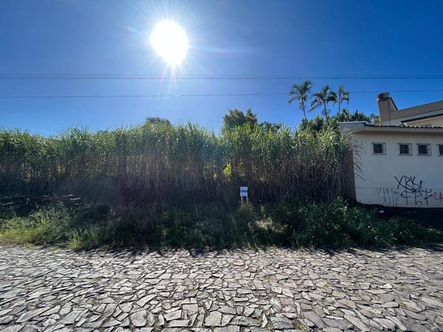 Foto do Terreno - Lote / Terreno em Oeste - Sapiranga, RS | Frassão Negócios