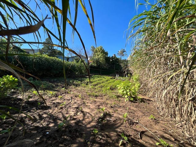 Foto do Terreno - Lote / Terreno em Oeste - Sapiranga, RS | Frassão Negócios