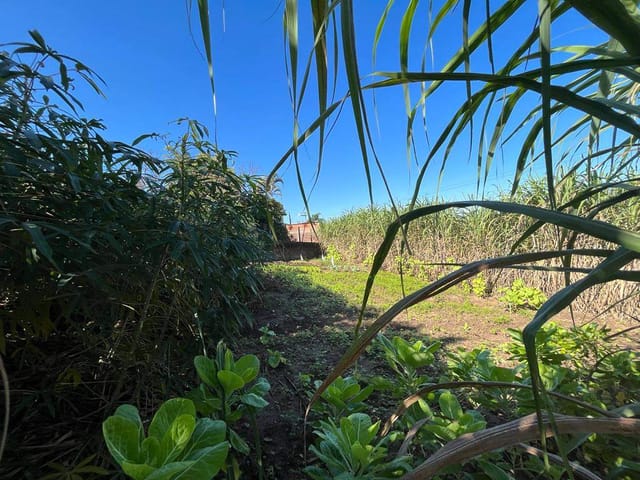 Foto do Terreno - Lote / Terreno em Oeste - Sapiranga, RS | Frassão Negócios