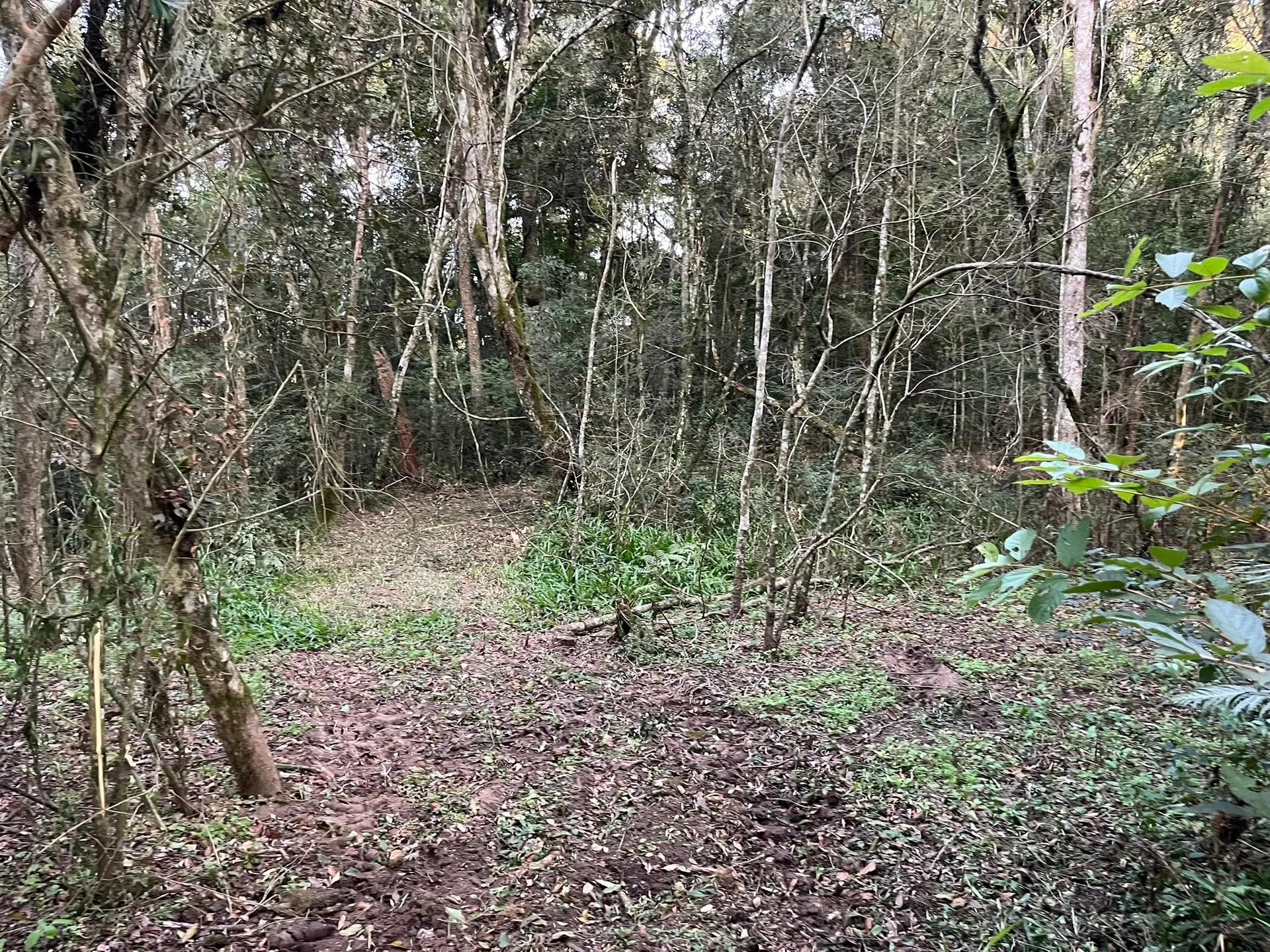 Terreno, 2 hectares - Foto 15