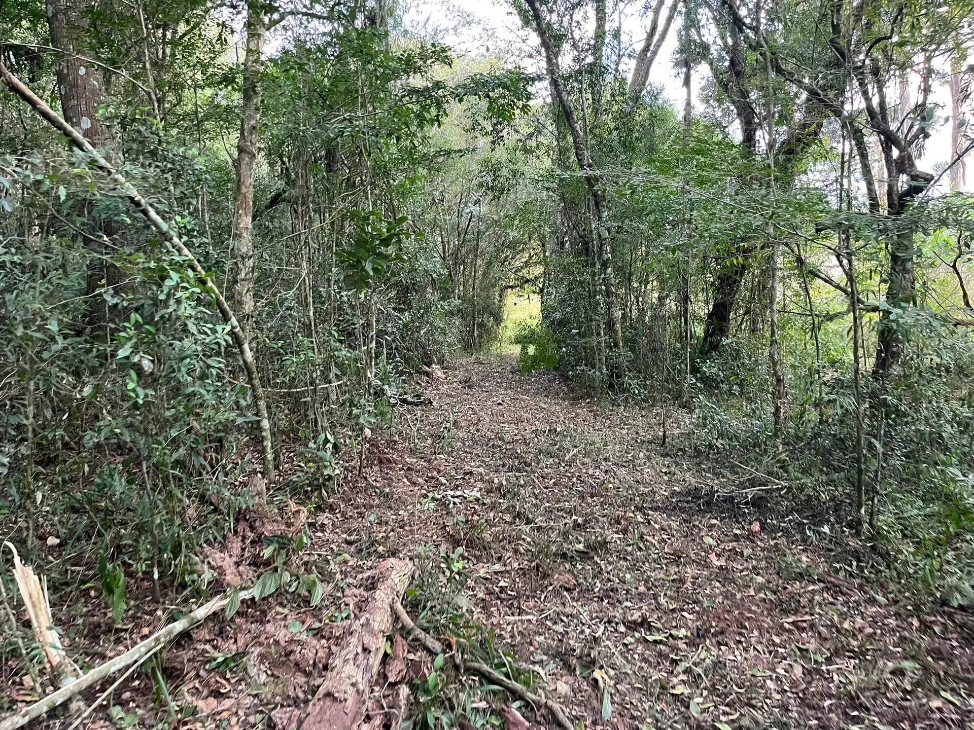 Terreno, 2 hectares - Foto 16