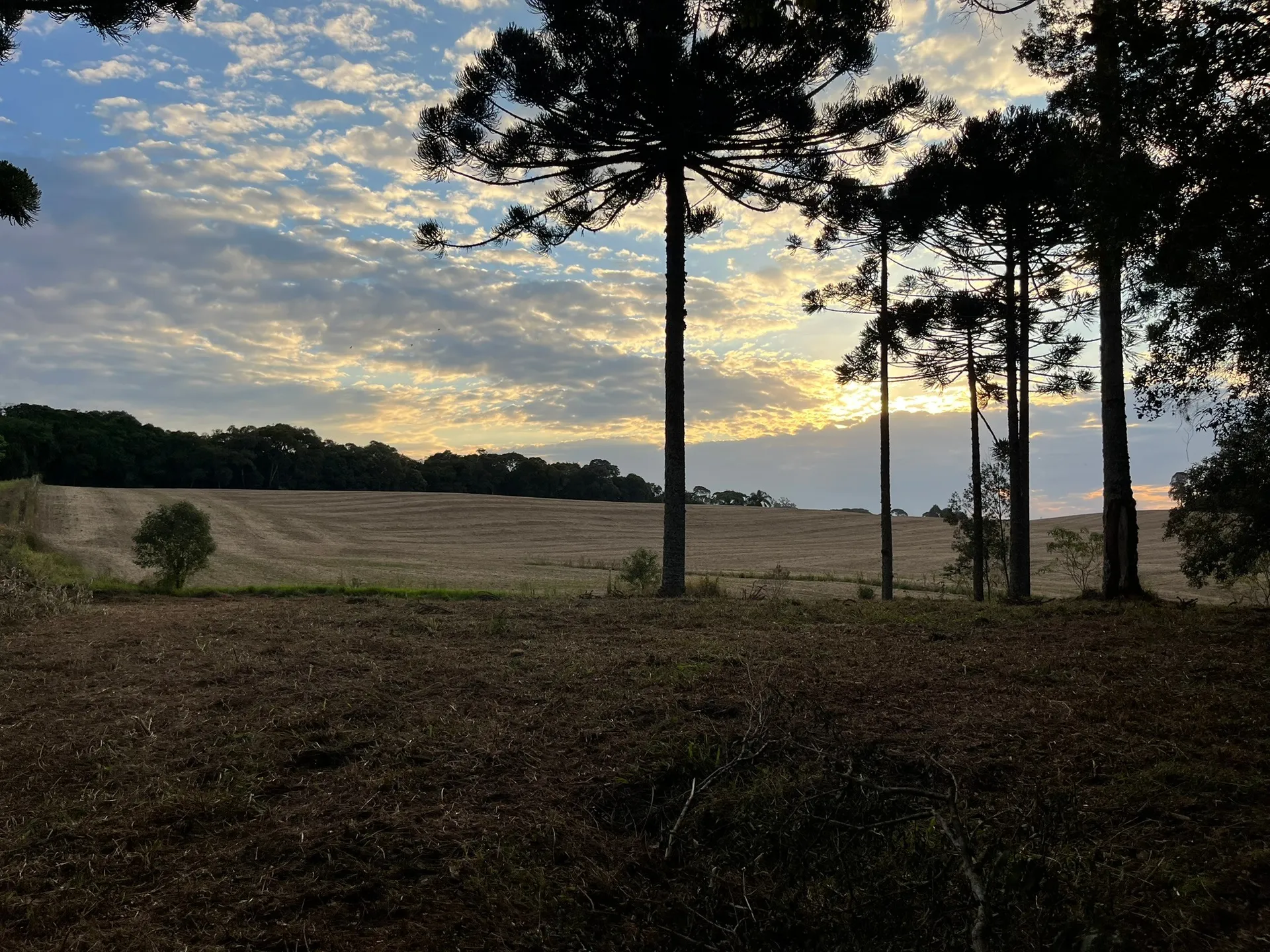 Terreno, 2 hectares - Foto 17