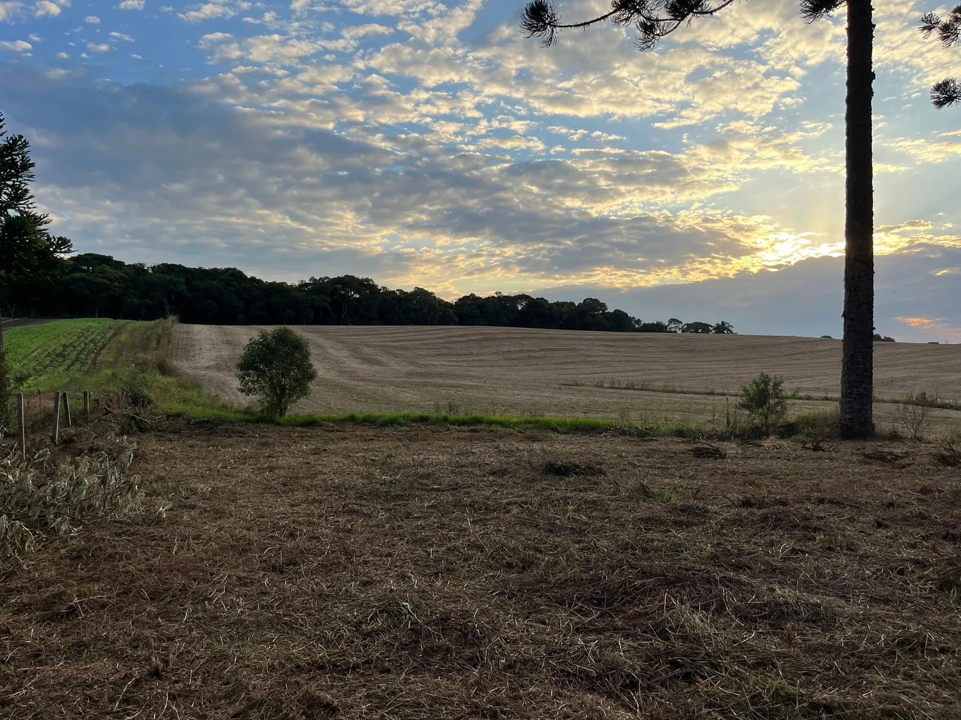 Terreno, 2 hectares - Foto 1