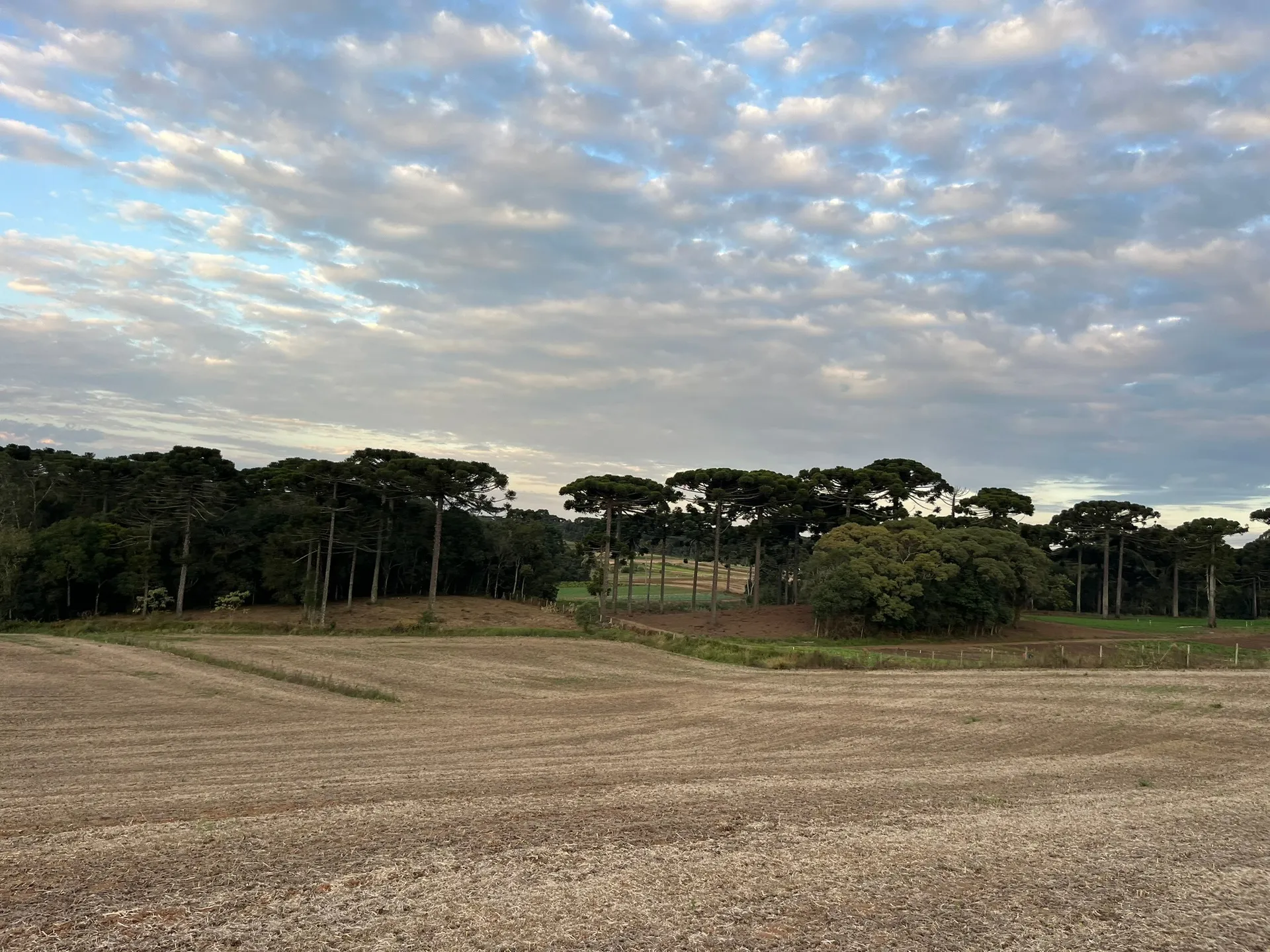 Terreno, 2 hectares - Foto 2