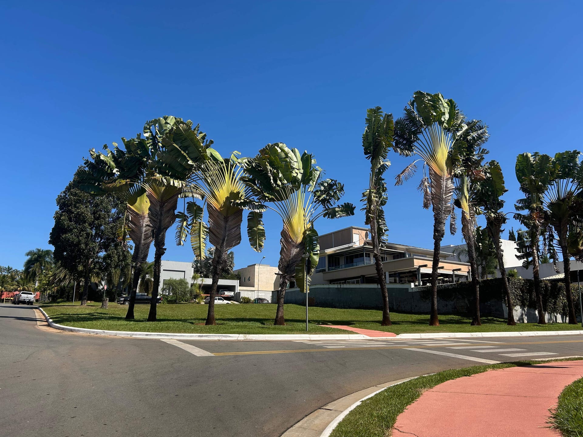 Lote à venda com 789m² no Jardins Milão, Goiânia, GO