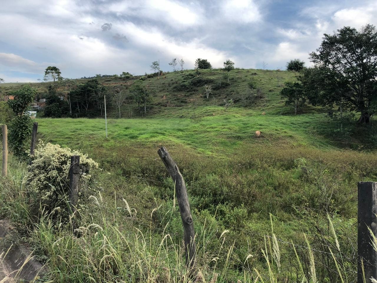Terreno à venda 29421M², RODOVIA MGT 265, RIO POMBA - MG - foto 4
