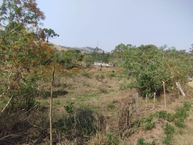 Terreno com 6000m², à venda, no bairro Serra do Cabral em Cambuí