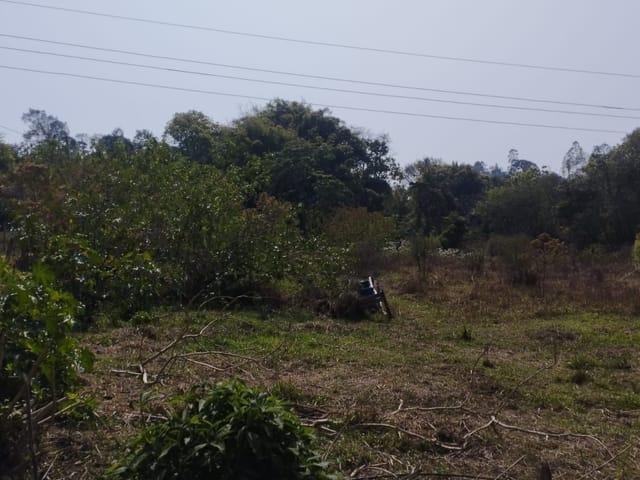 Terreno com 6000m², à venda, no bairro Serra do Cabral em Cambuí