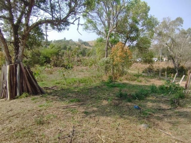 Terreno com 6000m², à venda, no bairro Serra do Cabral em Cambuí