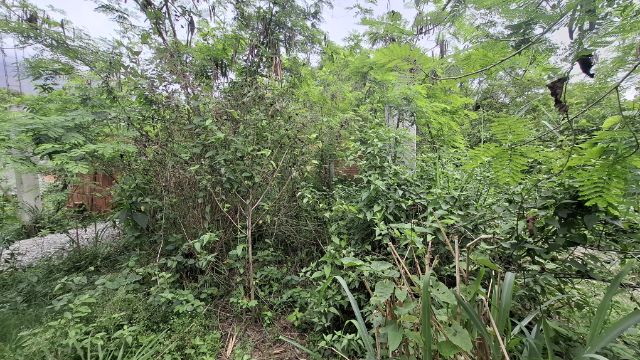 Terreno com 1000m², à venda, no bairro Itaocaia Valley (Itaipuaçu) em Maricá
