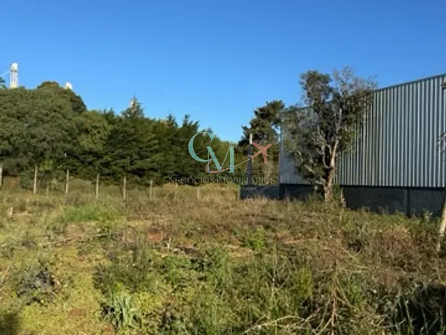 Terreno com 480m², à venda, no bairro Tonial  em Xanxerê