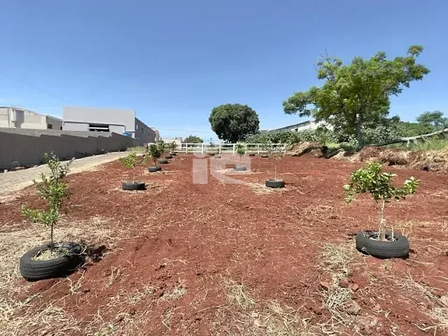 Terreno com 2853m², à venda, no bairro Vila Oliveira em Rolândia