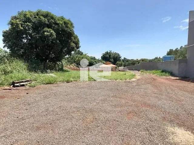 Chácara com 2853m², à venda, no bairro Vila Oliveira em Rolândia