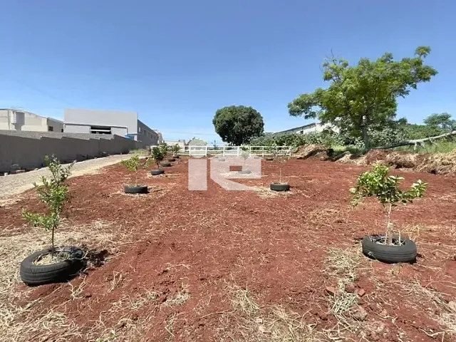 Chácara com 2853m², à venda, no bairro Vila Oliveira em Rolândia