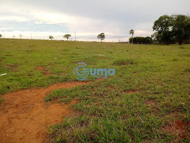 Terreno com 2935m², à venda, no bairro Passa Três em Tuiuti