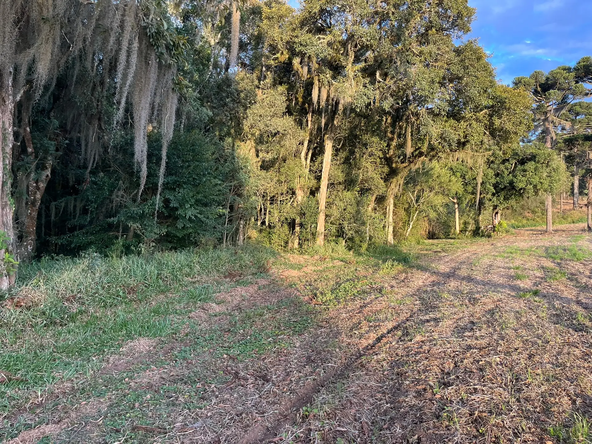 Terreno, 2 hectares - Foto 15