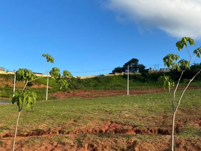 Terreno com 353m², à venda, no bairro Salvaterra em Juiz de Fora
