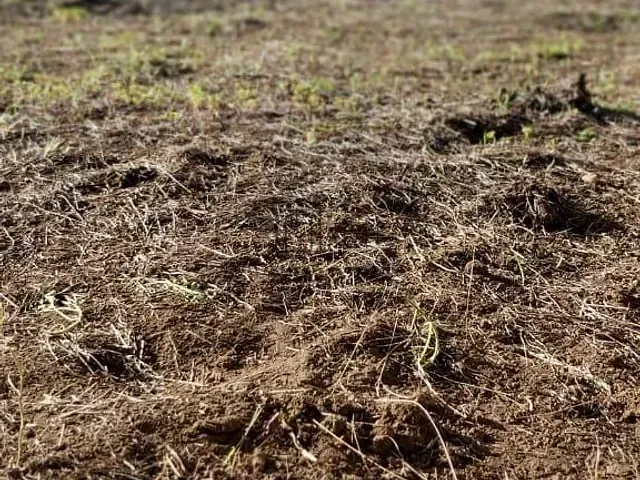 Terreno com 1000m², à venda, no bairro Jardim alvorada em Biritiba Mirim