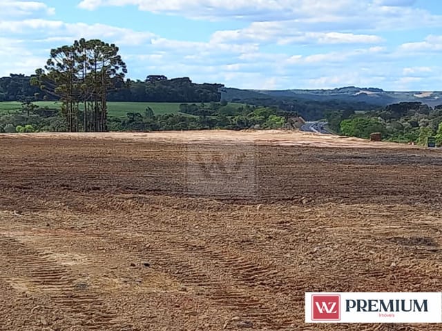 Terreno com 18150m², à venda, no bairro Alto do Amparo em Tibagi