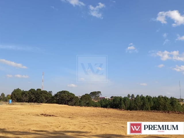 Terreno com 18150m², à venda, no bairro Alto do Amparo em Tibagi