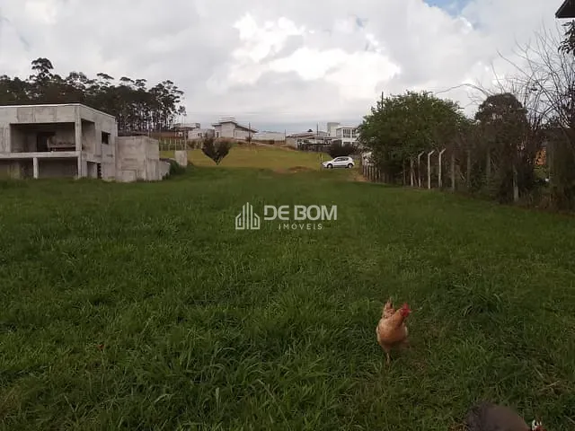Terreno com 2000m², à venda, no bairro Residencial e Industrial Campo Alegre em Poços de Caldas