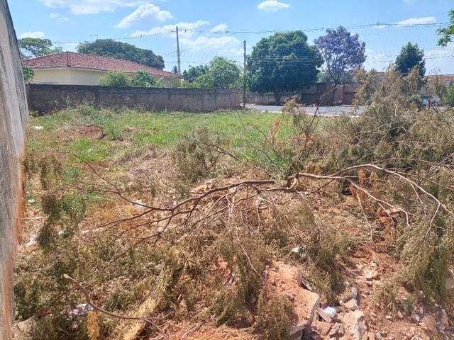 Terreno com 525m², à venda, no bairro Jardim Pinheiros em Birigui