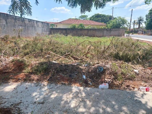 Terreno com 525m², à venda, no bairro Jardim Pinheiros em Birigui