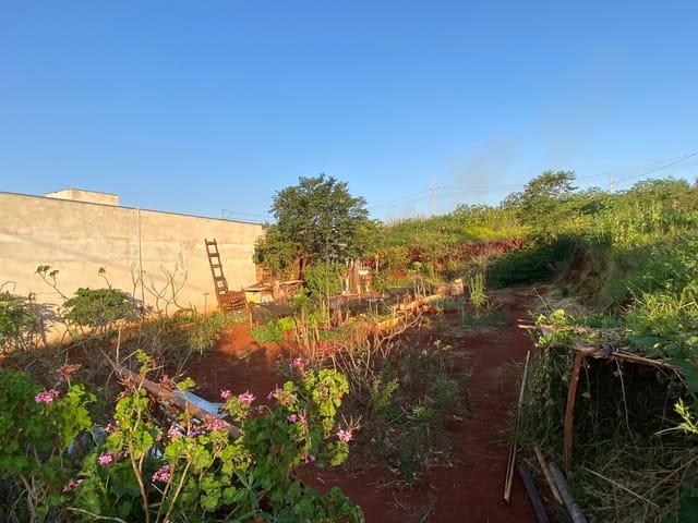 Foto do Terreno - Terreno à venda, Jardim Cidade Nova III, Rolândia, PR | Imobiliária Casa Grande - Rolândia